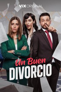 Un buen divorcio (2024) Serie de TV Primera Temporada 720p HD