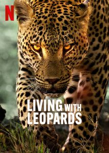 Living with Leopards (2024) WEBRip 1080p HD Dual Latino / Inglés