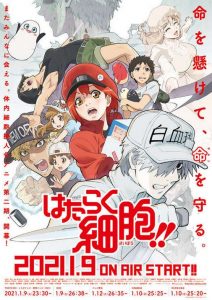 Cells at Work! (2018) Serie de TV Segunda Temporada (2021) 720p HD