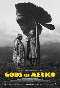 Gods of Mexico (2022) WEBRip 1080p HD