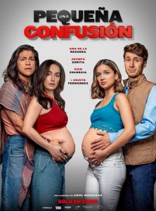 Una pequeña confusión (2024) WEBRip 1080p HD