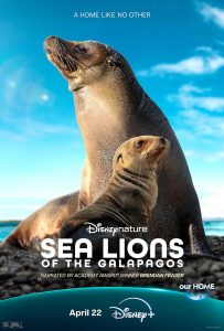 Sea Lions of the Galapagos (2025) WEBRip 1080p HD Dual Latino / Inglés
