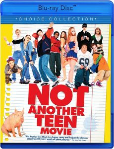 Not Another Teen Movie (2001) BluRay 720p HD