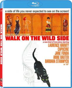 Walk on the Wild Side (1962) BluRay 1080p HD