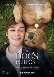 A Dog’s Purpose (2017) WEB-DL 720p HD