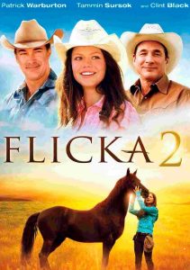 Flicka 2 (2010) DVDRip