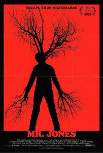 Mr. Jones (2013) BluRay 720p HD