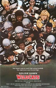 Wildcats (1986) DVDRip