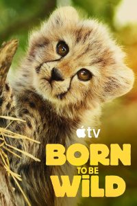 Born to be Wild (2025) Serie de TV Primera Temporada 720p HD