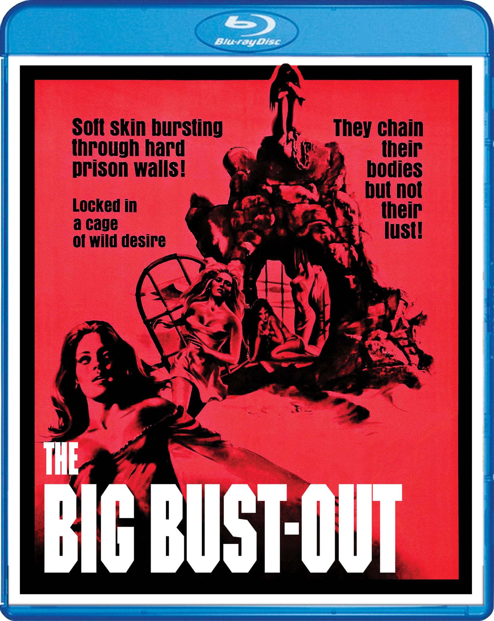 The Big Bust-Out (1972) BluRay 1080p HD