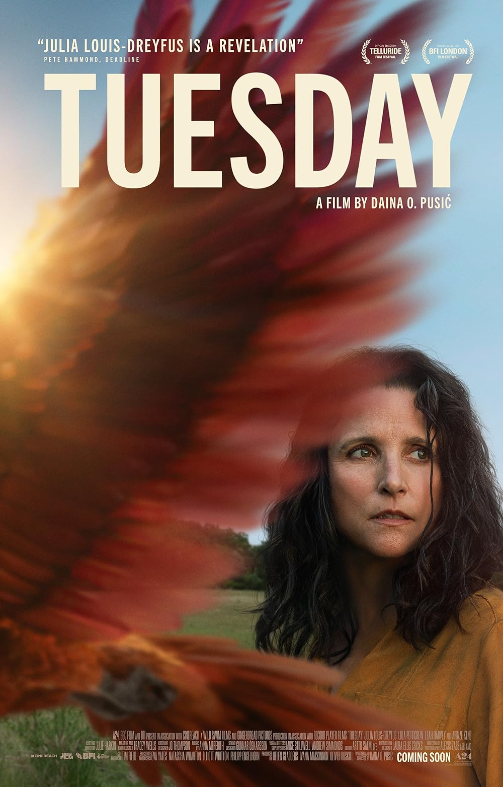 Tuesday (2023) WEBRip 1080p HD Dual Latino / Inglés