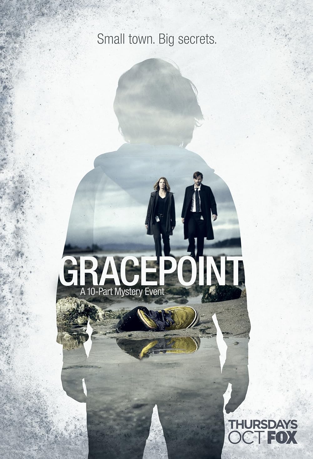 Gracepoint (2014) Miniserie de TV 720p HD