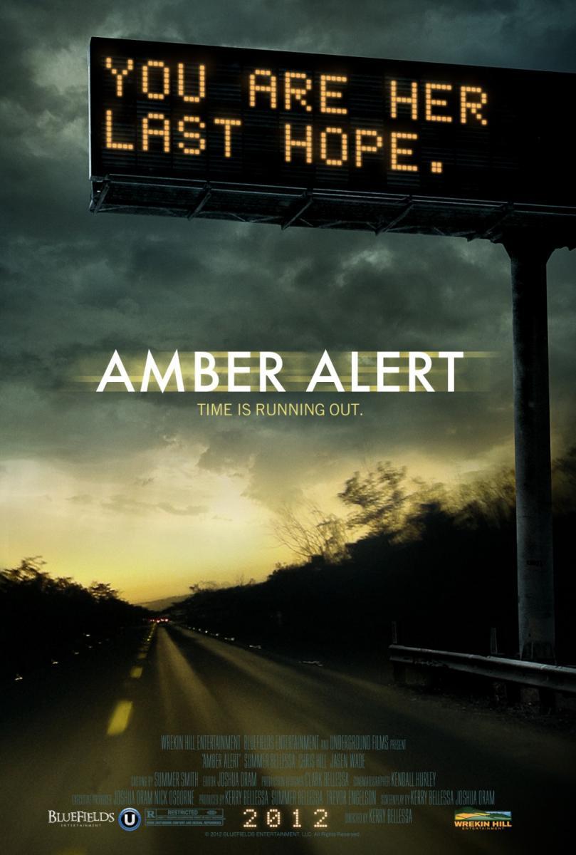 Amber Alert (2012) WEBRip 1080p HD