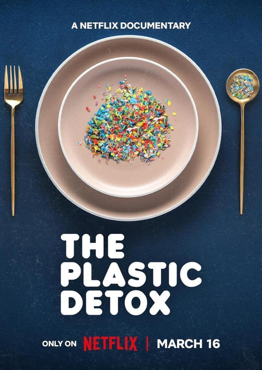 The Plastic Detox (2026) WEBRip 1080p HD Dual Latino / Inglés