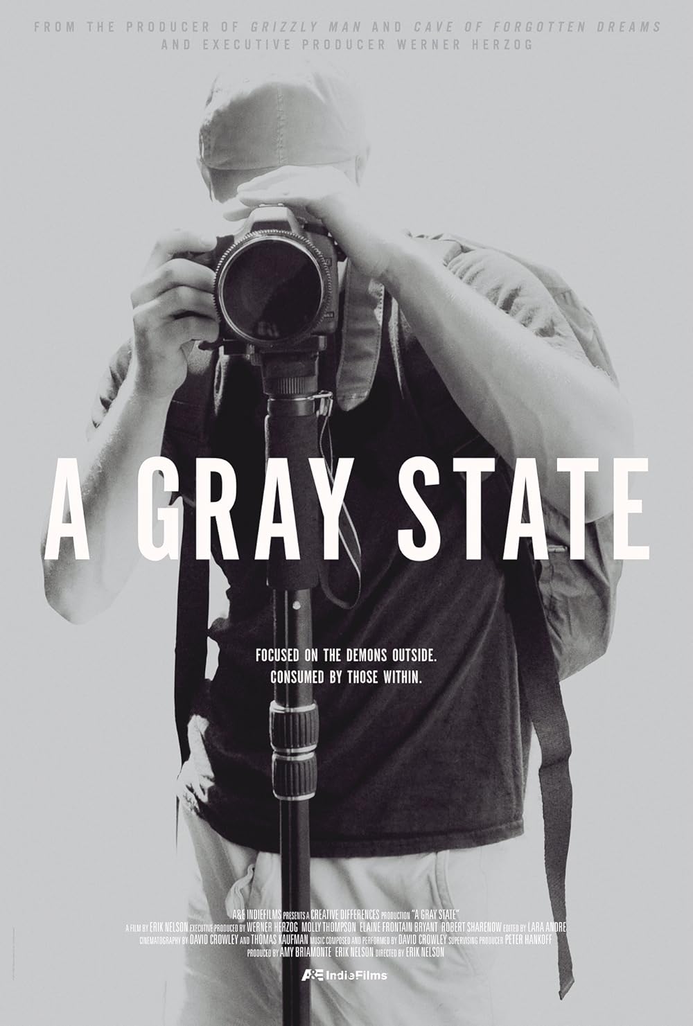 A Gray State (2017) WEBRip 1080p HD