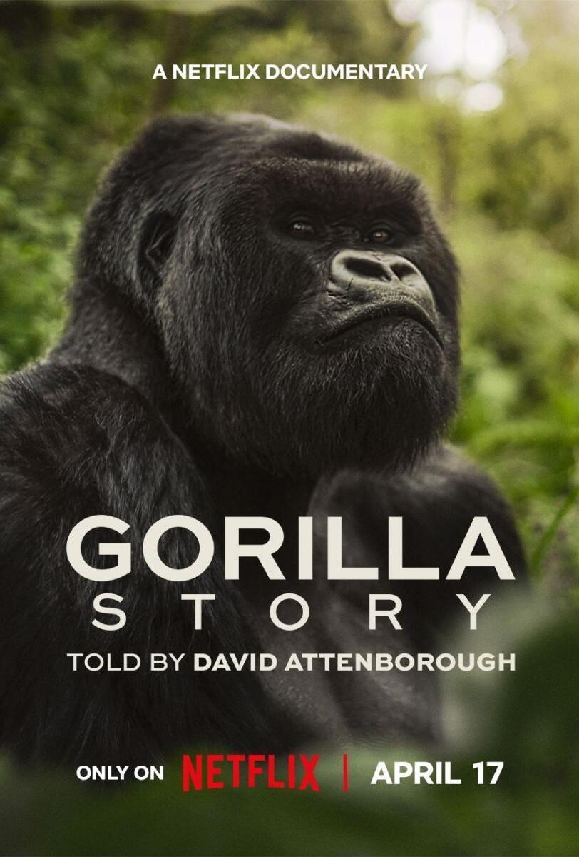 A Gorilla Story: Told by David Attenborough (2026) WEBRip 1080p HD Dual Latino / Inglés