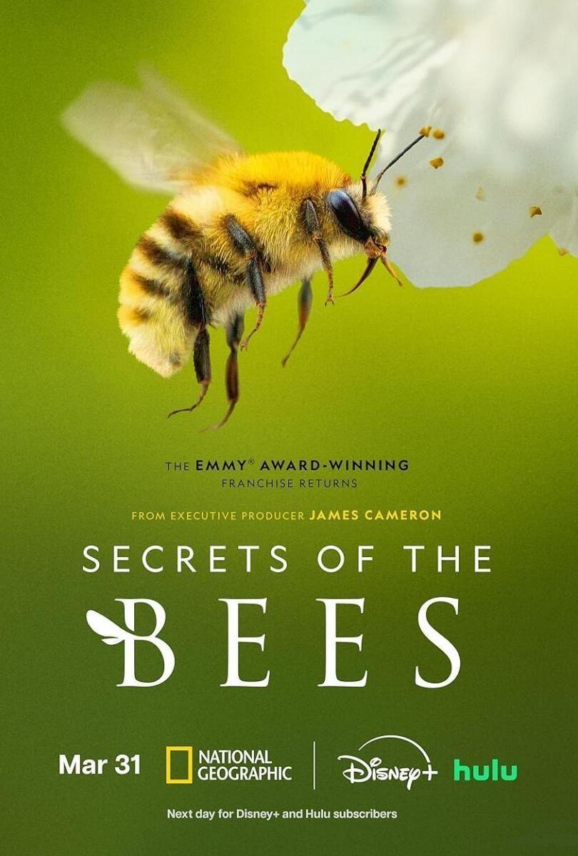 Secrets of the Bees (2026) Miniserie de TV 720p HD Dual Latino / Inglés