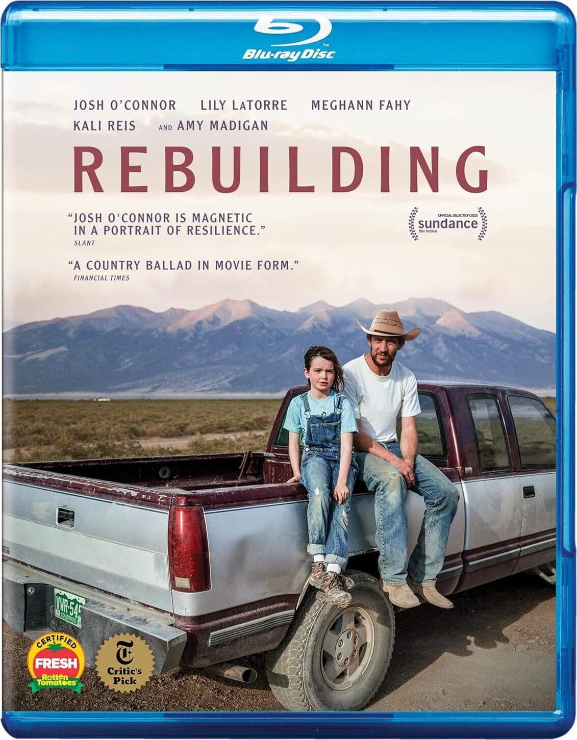 Rebuilding (2025) BluRay 1080p HD Dual Latino / Inglés