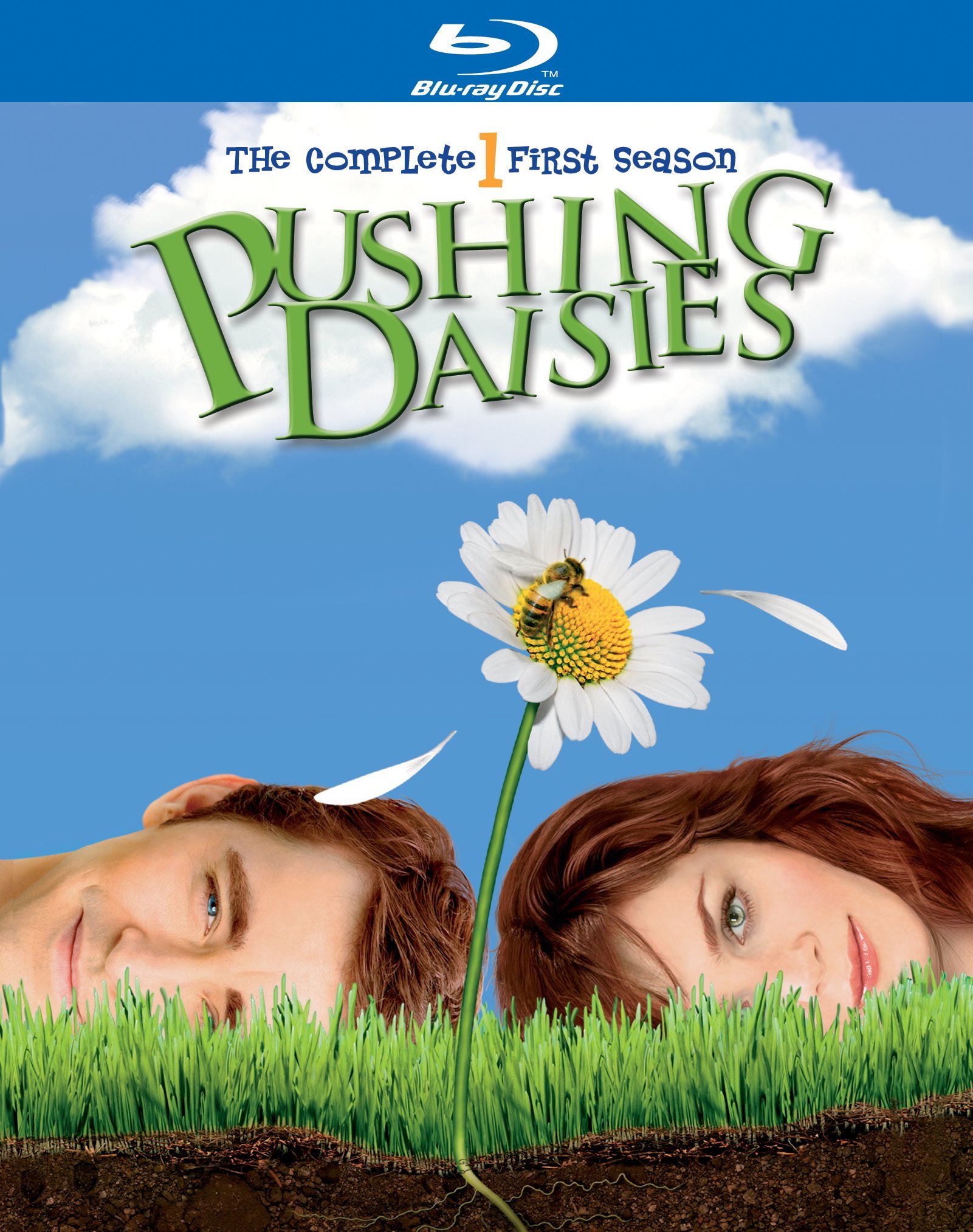 Pushing Daisies (2007) Serie de TV Primera Temporada 720p HD