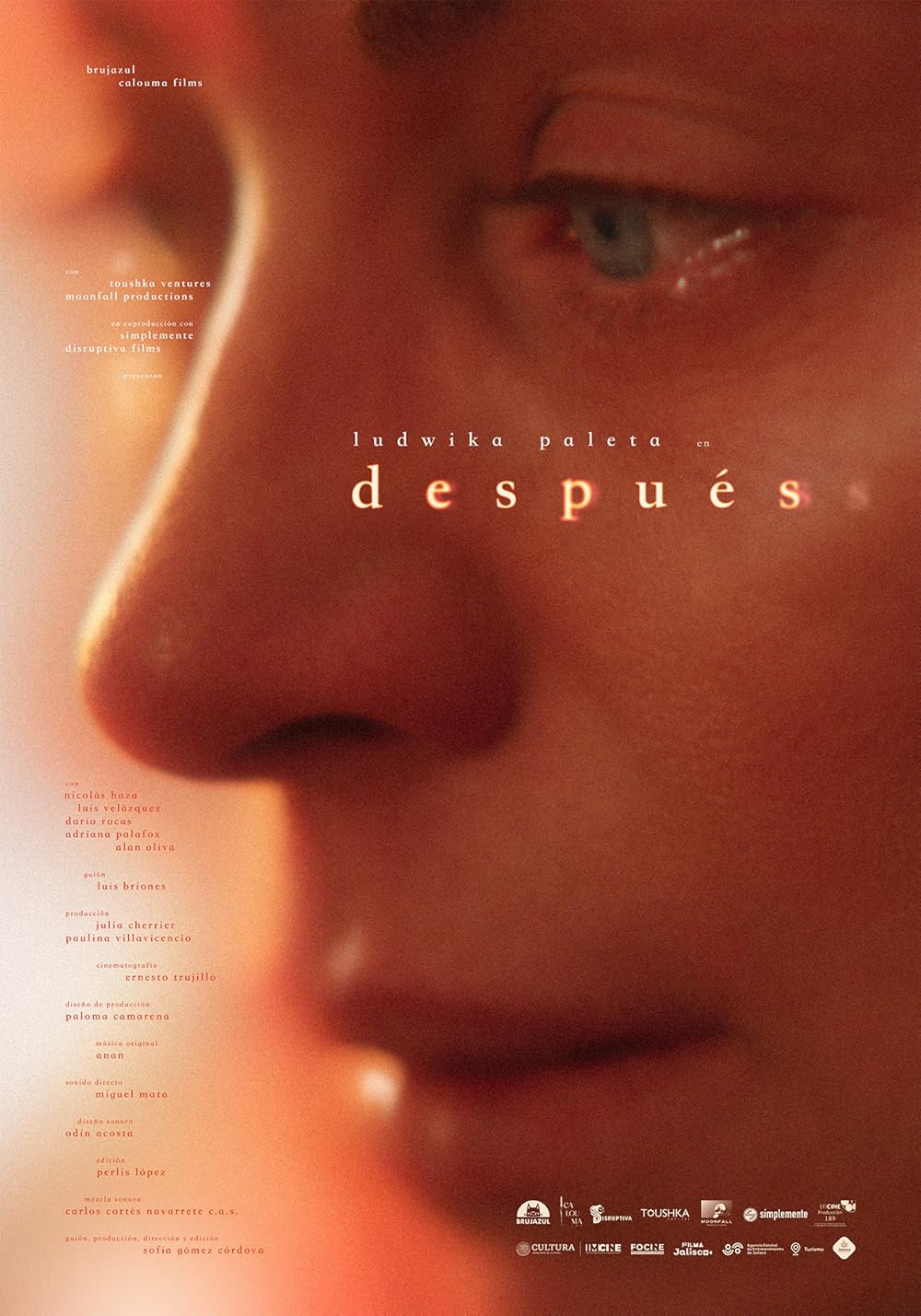 Después (2024) WEBRip 1080p HD