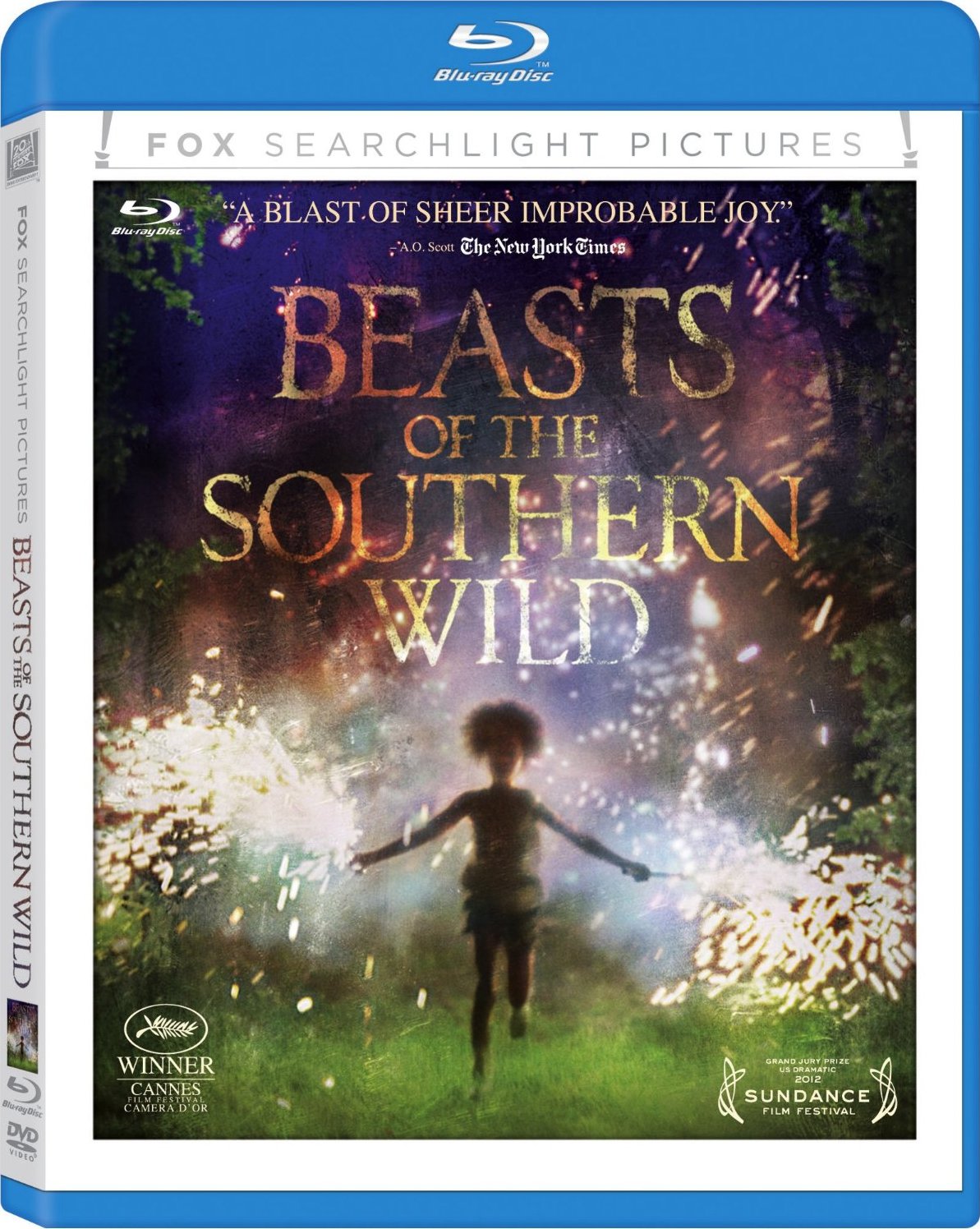 Beasts of the Southern Wild (2012) BluRay 1080p HD Dual Latino / Inglés